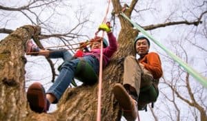 best tree climbing rope