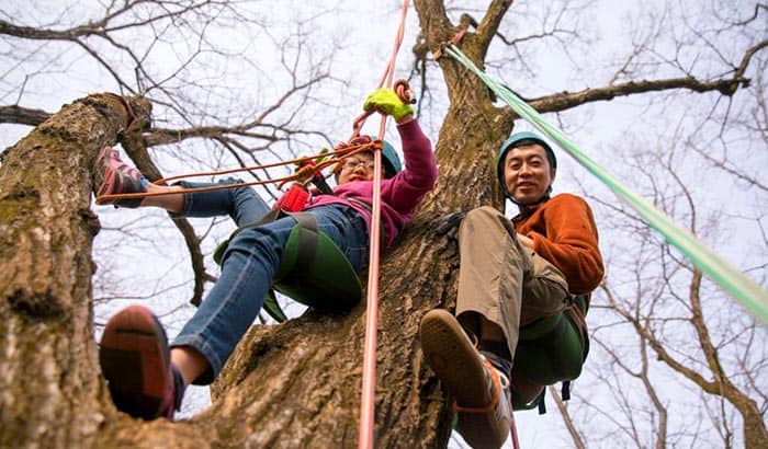 best tree climbing rope