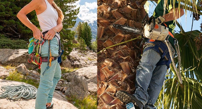 arborist harness vs climbing harness