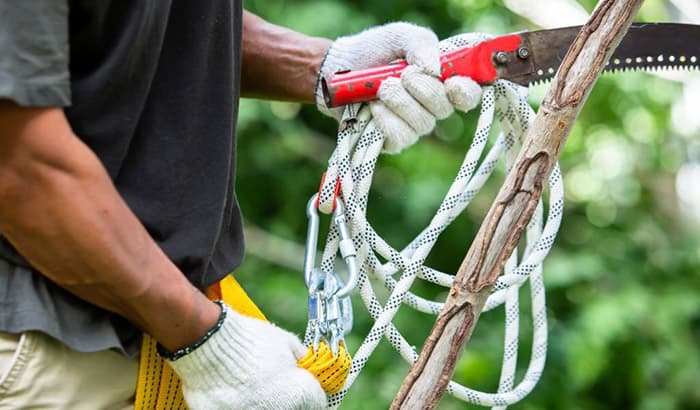 best arborist gloves