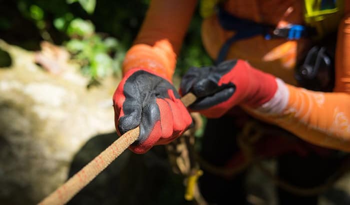 best gloves for cutting trees